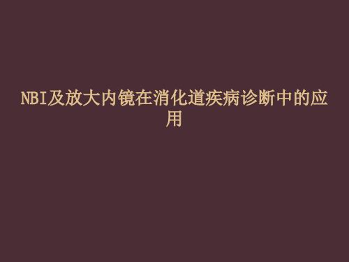 NBI及放大内镜在消化道疾病诊断中的应用