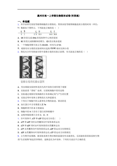 惠州市高一上学期生物期末试卷(有答案)