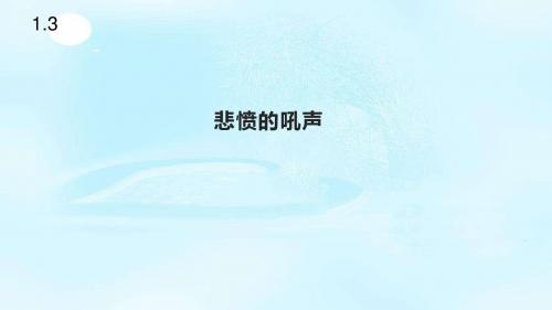 浙教版品德与社会五年级下册1.3《悲愤的吼声》课件