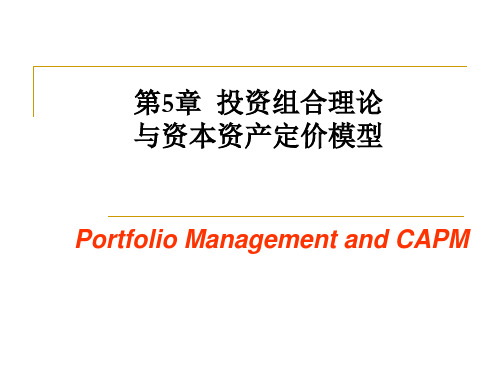 第5章投资组合理论与资本资产定价模型CAPM