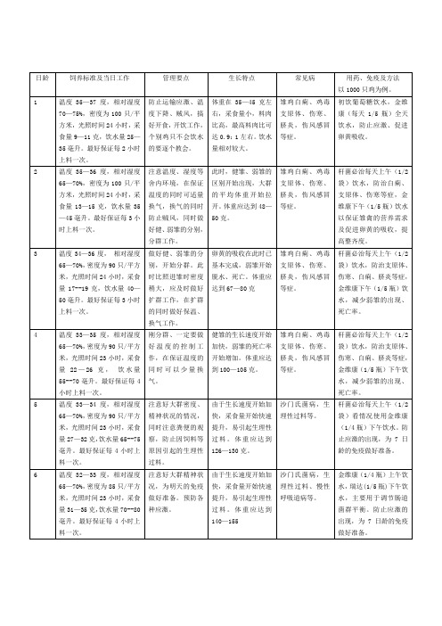 AA肉鸡的饲养管理程序