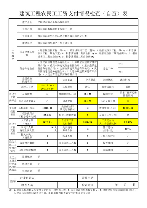 建筑工程农民工工资支付情况检查(自查)表2017.12.06