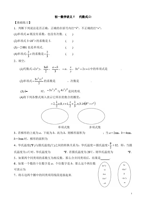 初一数学讲义5 代数式2