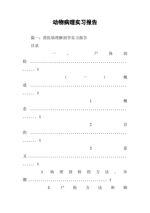 动物病理实习报告