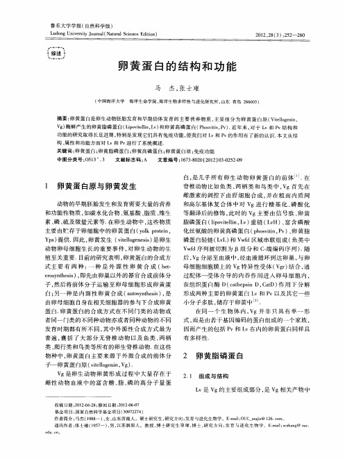 卵黄蛋白的结构和功能