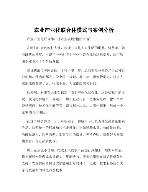 农业产业化联合体模式与案例分析