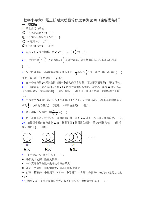 数学小学六年级上册期末质量培优试卷测试卷(含答案解析)