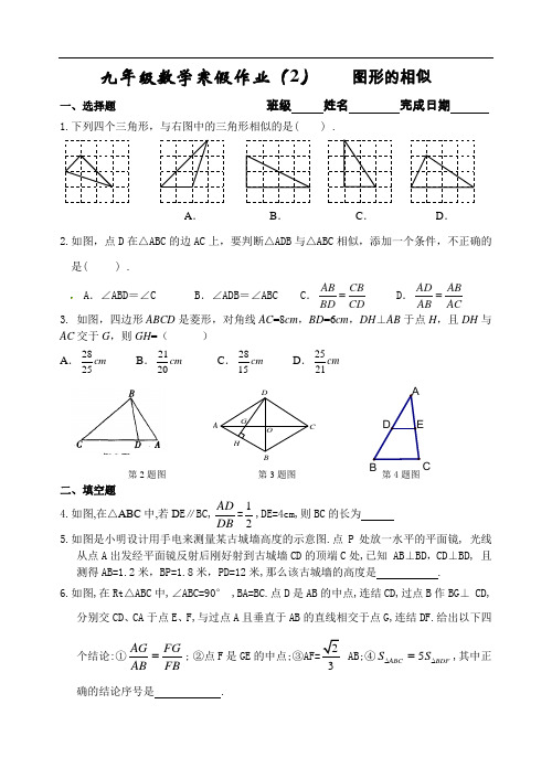 苏教版九年级数学寒假作业(2)--相似形(附答案)