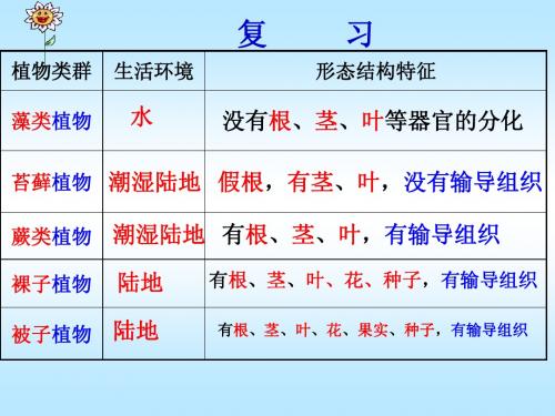 种子植物(第一课时)