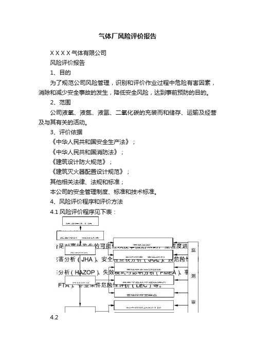 气体厂风险评价报告