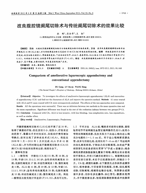 改良腹腔镜阑尾切除术与传统阑尾切除术的效果比较