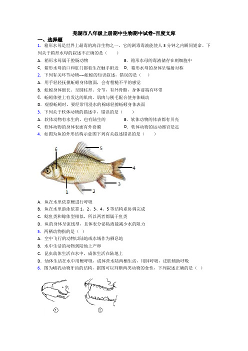 芜湖市八年级上册期中生物期中试卷-百度文库