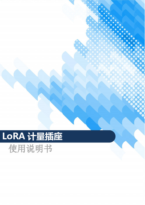 LoRA 计量插座使用说明书