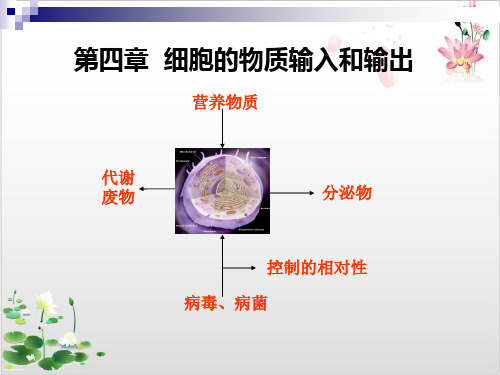 人教生物必修物质跨膜运输的实例-ppt精品课件