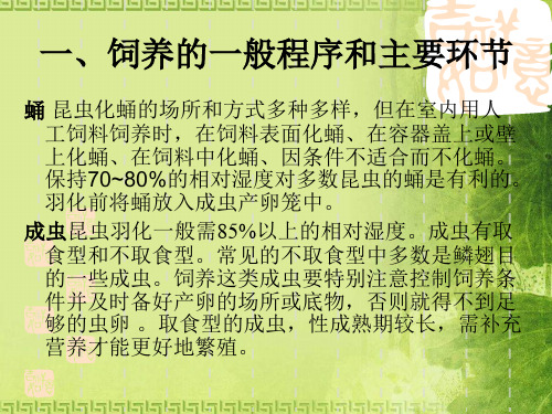 昆虫饲养技术