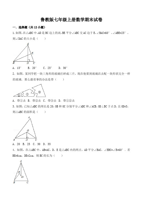 鲁教版七年级上学期数学期末试卷-名校版