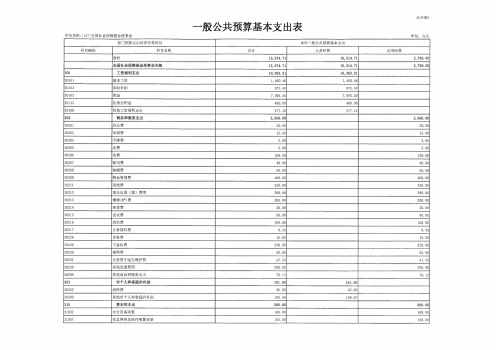 一般公共预算基本支出表