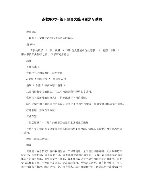 苏教版六年级下册语文练习四预习教案
