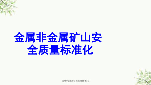 金属非金属矿山安全质量标准化课件