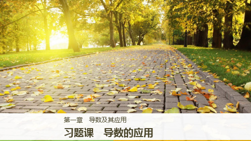 人教新课标版数学高二课件 习题课 导数的应用