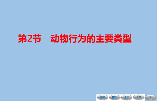 16.2 动物行为的主要类型-课件-2021-2022学年北师大版八年级生物上册