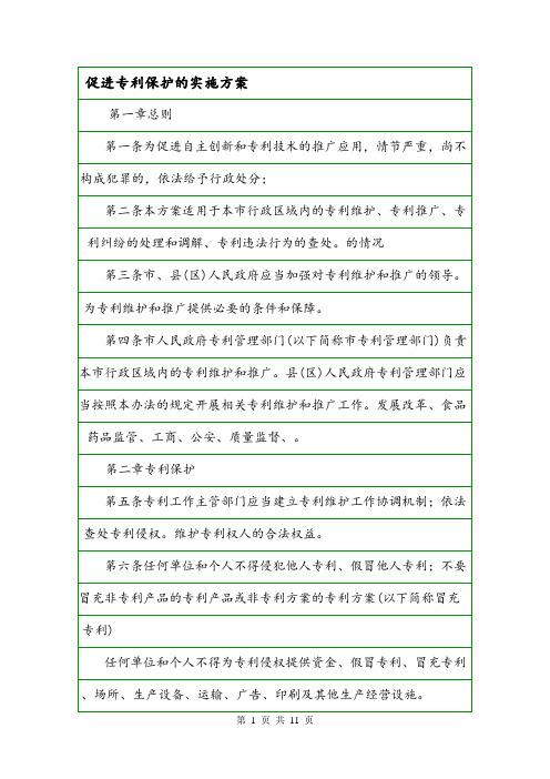 促进专利保护的实施方案.doc