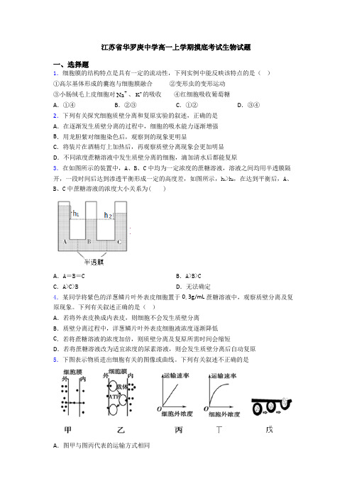 江苏省华罗庚中学高一上学期摸底考试生物试题