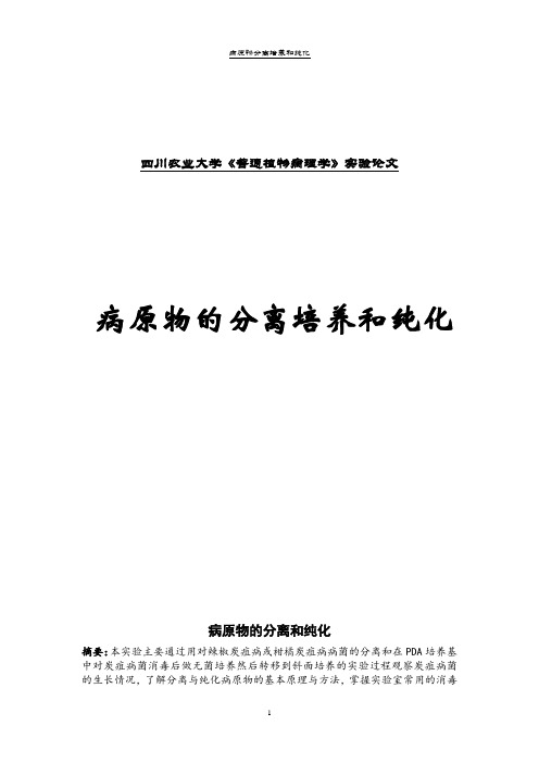 病原物分离培养实验报告