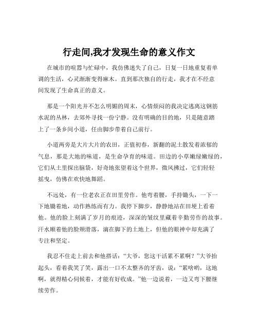 行走间,我才发现生命的意义作文