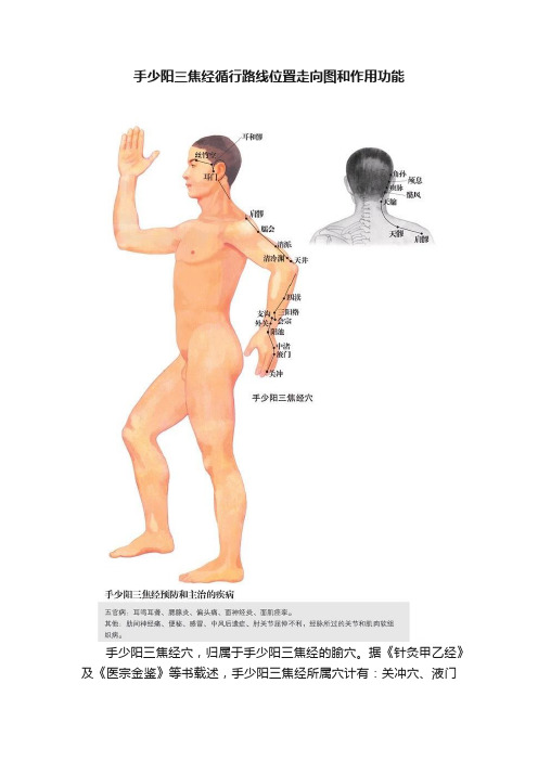 手少阳三焦经循行路线位置走向图和作用功能