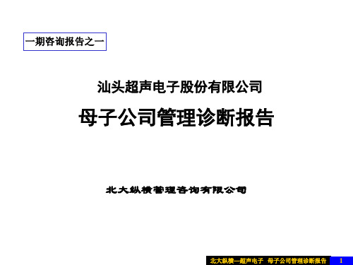 北大纵横母子公司管理诊断报告-61页文档资料