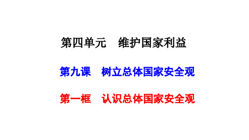 《认识总体国家安全观》优质课件