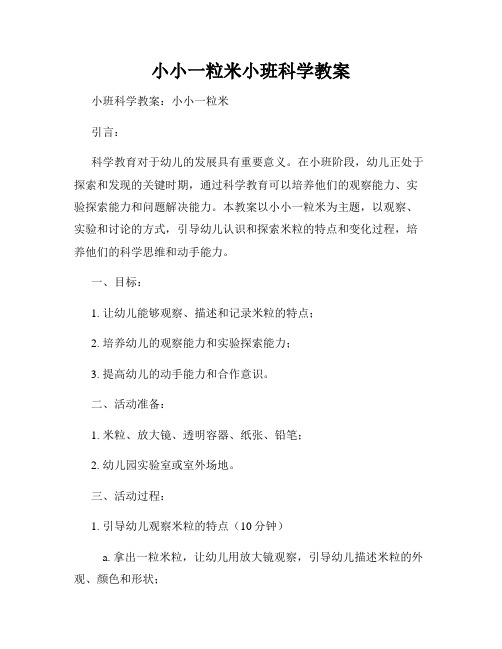 小小一粒米小班科学教案