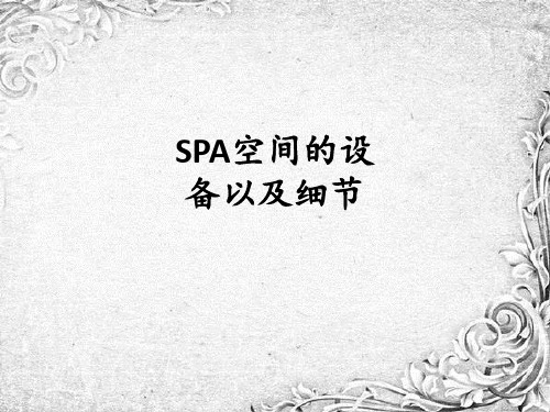 SPA空间的设备以及细节ppt课件