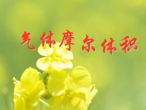 气体摩尔体积PPT教学课件