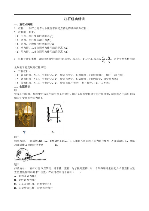 2019中考物理重难点突破与金题精讲《杠杆》