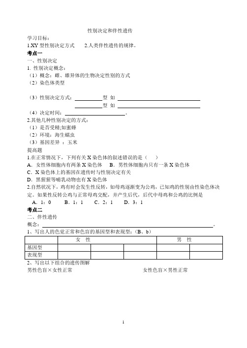 伴性遗传一轮学案