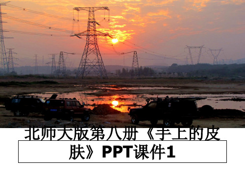 最新北师大版第八册《手上的皮肤》PPT课件1教学讲义ppt