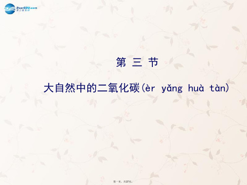 九年级化学上册 6.3 大自然中的二氧化碳课件 (新版)鲁教版