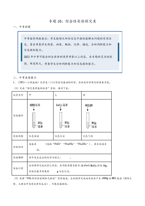 专题10综合性实验探究类(原卷版)