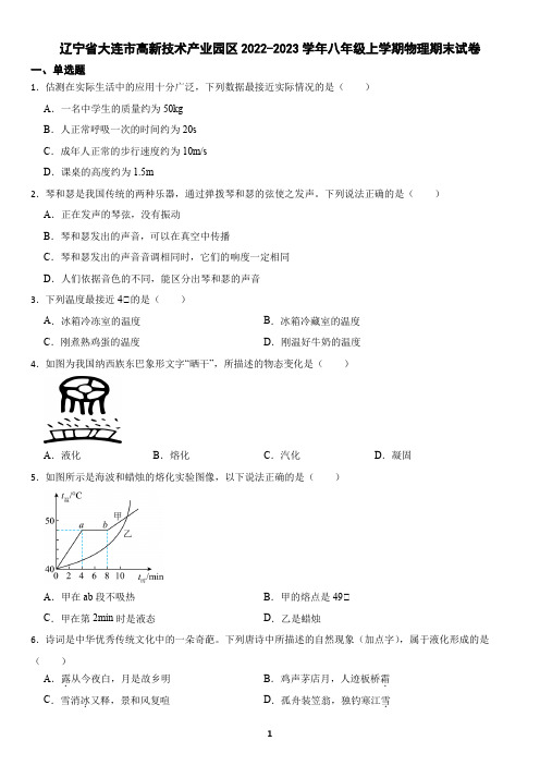 辽宁省大连市高新技术产业园区2022-2023学年八年级上学期物理期末试卷(含答案)