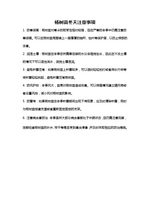 杨树苗冬天注意事项