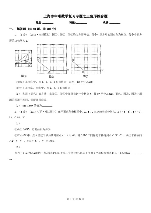 上海市中考数学复习专题之三角形综合题