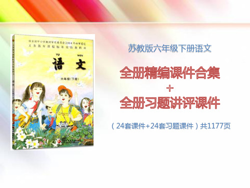 【苏教版】六年级语文下册《全册课件+全册习题课件》(28套课件1177)(附答案)