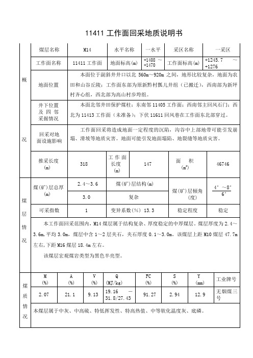 11411采地质说明书