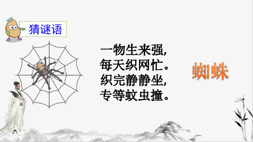 部编版二年级下册语文20 蜘蛛开店课件