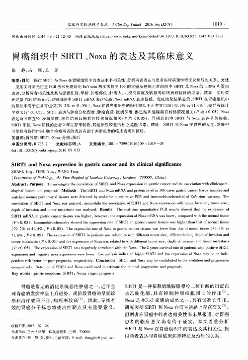 胃癌组织中SIRT1、Noxa的表达及其临床意义