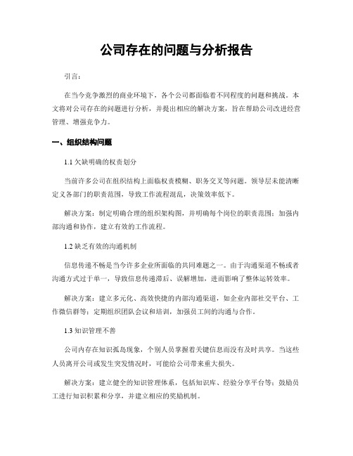 公司存在的问题与分析报告