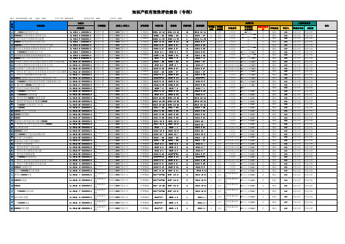 知识产权管理体系认证知识产权有效性评估表