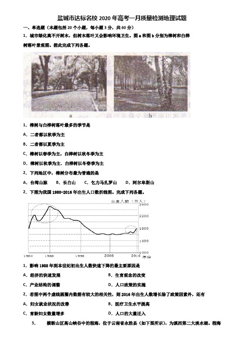 盐城市达标名校2020年高考一月质量检测地理试题含解析